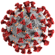 Coronavirus COVID-19